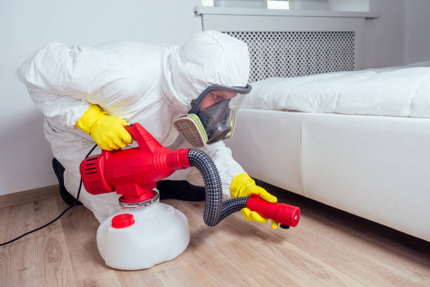 Flea Control Services in Jupiter Farms, FL