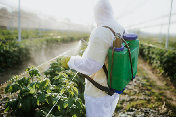 Best Pest Prevention Services  in Jupiter Farms, FL